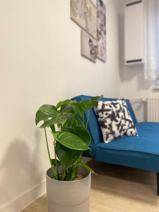 Apartman Kristina Sturovo Exterior foto